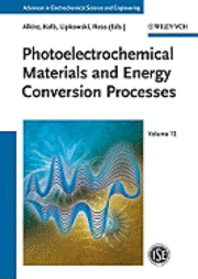 Photoelectrochemical Materials and Energy Conversion Processes (inbunden)