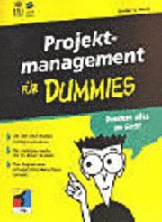 Projektmanagement Fur Dummies (h�ftad)