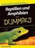 Reptilien Und Amphibien Fur Dummies