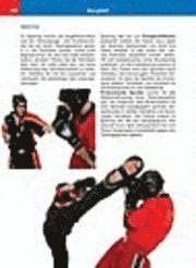 Kickboxen basics (h�ftad)