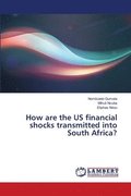 How are the US financial shocks transmitted into South Africa?