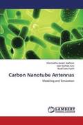 Carbon Nanotube Antennas