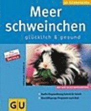 Meerschweinchen gl�cklich und gesund (h�ftad)