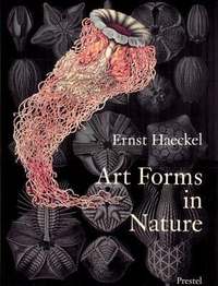 Art Forms in Nature (h�ftad)
