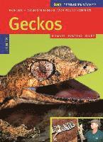 Geckos (inbunden)
