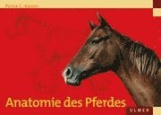 Anatomie des Pferdes (inbunden)