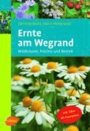 Ernte am Wegrand (h�ftad)
