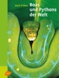 Boas und Pythons der Welt