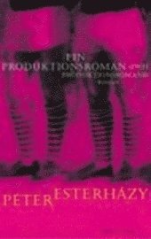 Ein Produktionsroman (Zwei Produktionsromane) (inbunden)