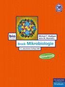 Mikrobiologie (inbunden)