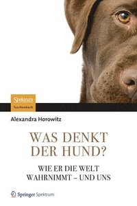 Was Denkt Der Hund?: Wie Er Die Welt Wahrnimmt - Und Uns (h�ftad)