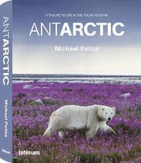 Antarctic (inbunden)