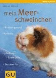 Mein Meerschweinchen (h�ftad)