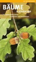 B�ume und Str�ucher (h�ftad)