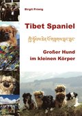 Tibet Spaniel