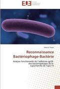 Reconnaissance bacteriophage-bacterie