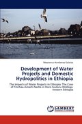 Development of Water Projects and Domestic Hydropolitics in Ethiopia