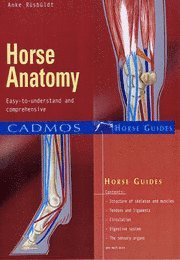 Horse Anatomy (h�ftad)