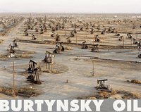 Edward Burtynsky (inbunden)