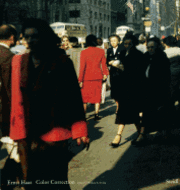 Ernst Haas (inbunden)