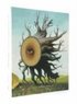 The Upset