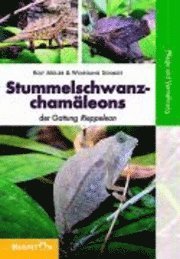 Stummelschwanzcham�leons (h�ftad)