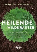 Heilende Wildkruter