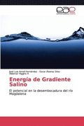 Energa de Gradiente Salino