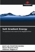 Salt Gradient Energy