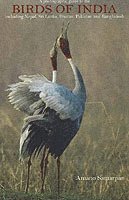 Photographic Guide to the Birds of India (h�ftad)