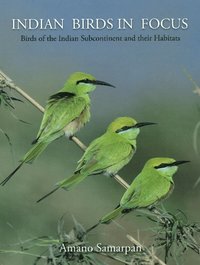 Indian Birds in Focus (h�ftad)