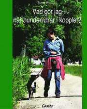 Vad g�r jag n�r hunden drar i kopplet? (h�ftad)