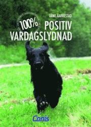 100% Positiv vardagslydnad (inbunden)