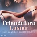 Triangulra Lustar: Sensuella noveller om heta trekanter