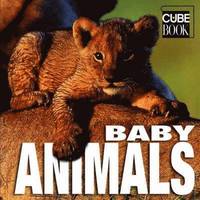 Baby Animals (inbunden)
