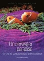 Underwater Paradise (inbunden)