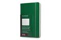 Moleskine Daily Large Planner 2015: Oxide Green