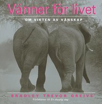 V�nner f�r livet : om vikten av v�nskap (inbunden)