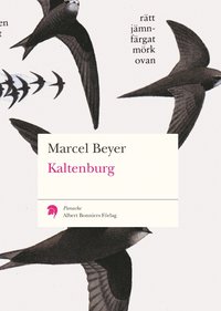 Kaltenburg (h�ftad)