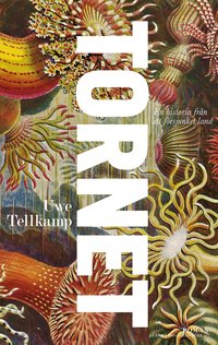Tornet : en historia fr�n ett sjunket land (inbunden)