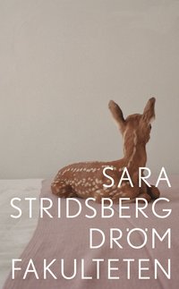 Dr�mfakulteten: - till�gg till sexualteorin (e-bok)