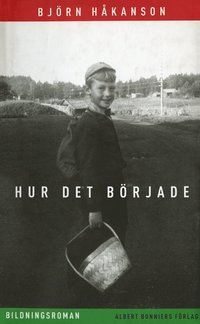 Hur det brjade : bildningsroman