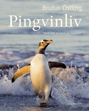 Pingvinliv (inbunden)