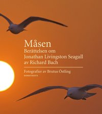 M�sen : ber�ttelsen om Jonathan Livingston Seagull (inbunden)