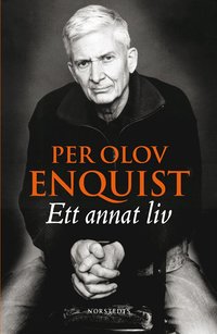Ett annat liv (storpocket)