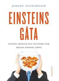 Einsteins g�ta : g�tor och problem som kan l�sas - om du t�nker som Einstein! (inbunden)