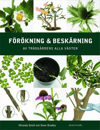 F�r�kning och besk�rning (inbunden)