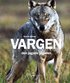 Vargen : den jagade j�garen