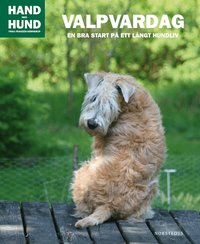 Valpvardag : en bra start p� ett l�ngt hundliv (kartonnage)