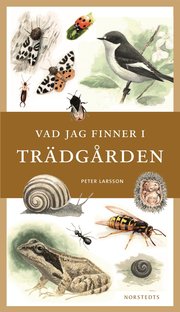 Vad jag finner i tr�dg�rden (inbunden)